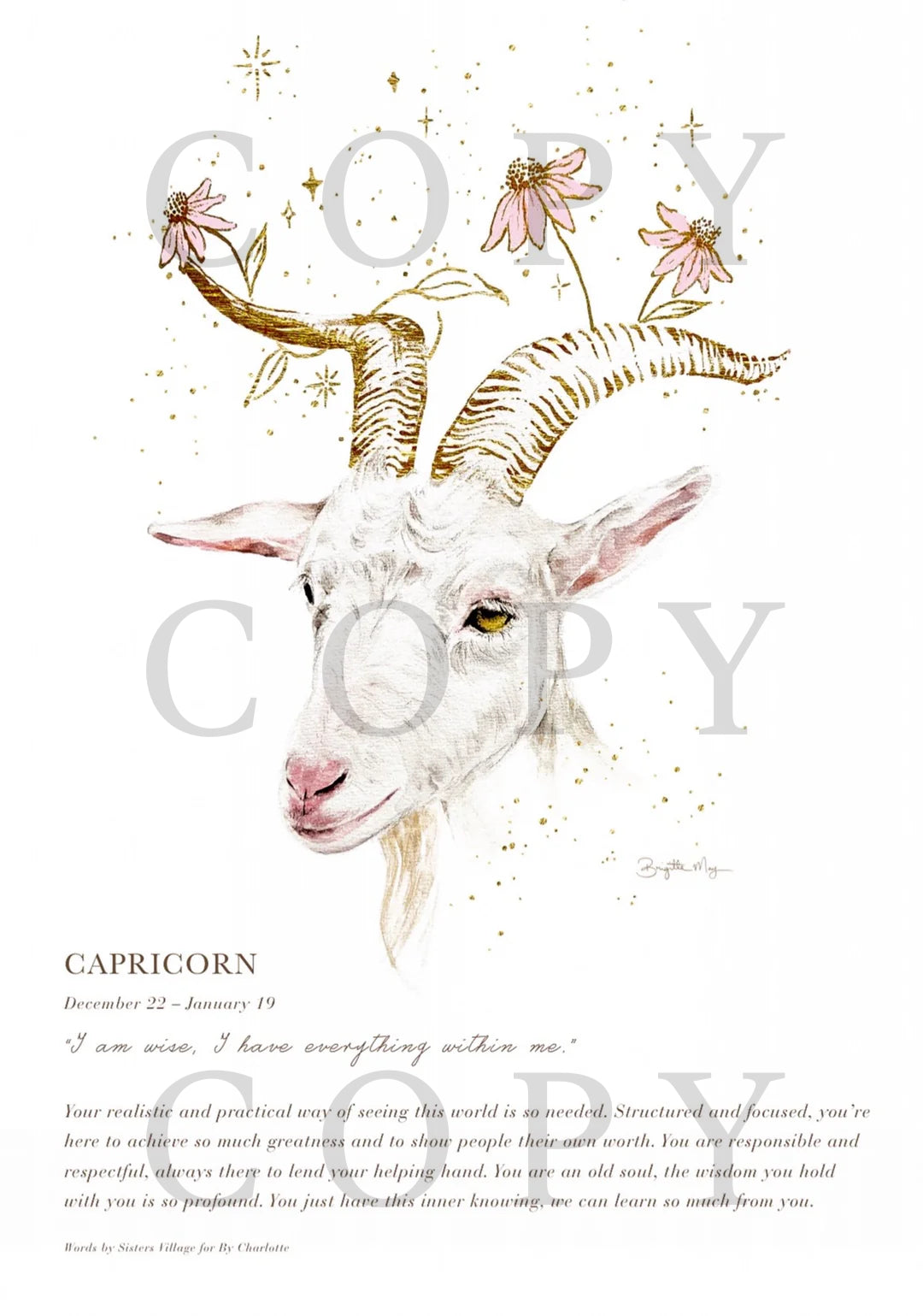 Capricorn A4 Print